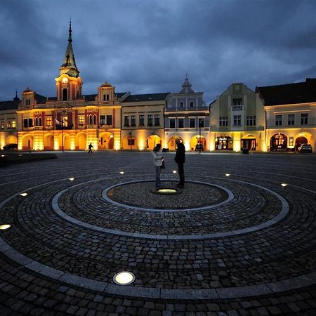 Ubytovani U Vinice Мельник Экстерьер фото